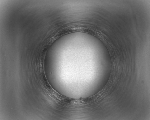 X0000060230372200510280944