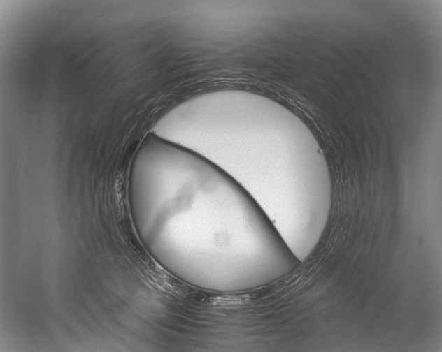 X0000060230373200510280944
