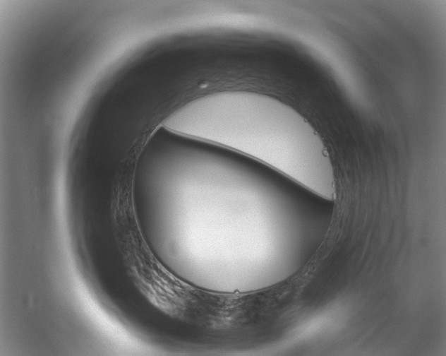 X0000060230383200510280944