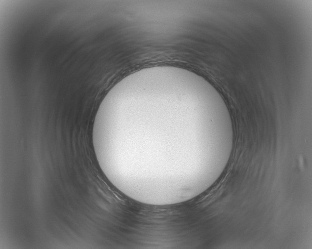 X0000060230384200510280944