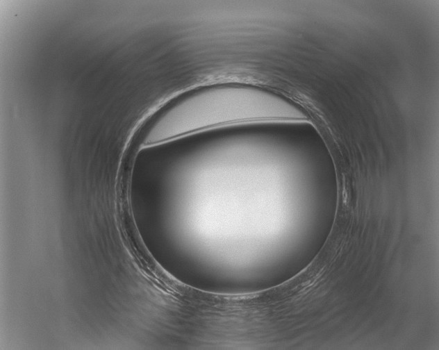 X0000060230388200510280943
