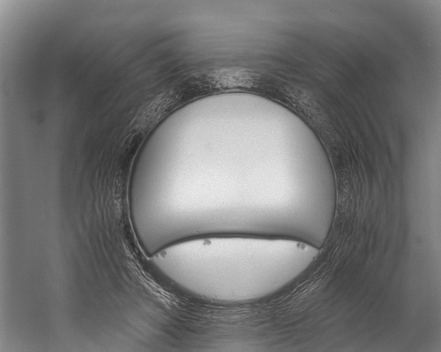X0000060230402200510280943
