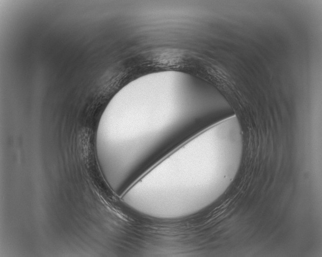 X0000060230412200510280943