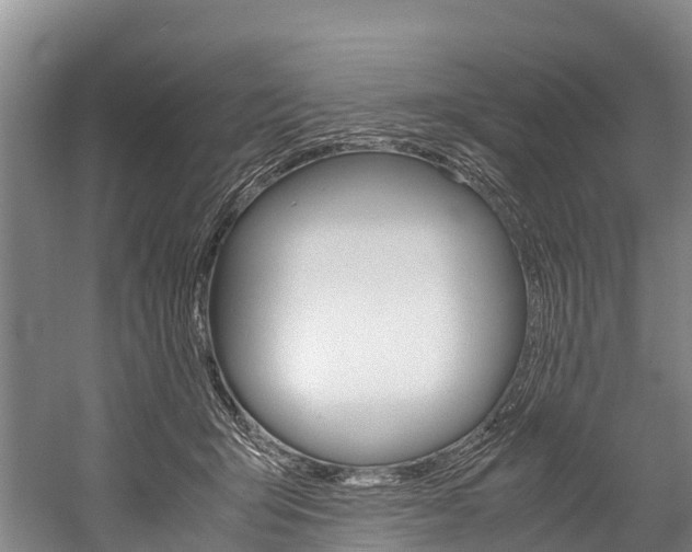 X0000060230415200510280943