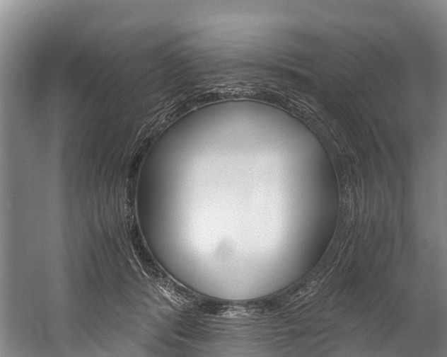 X0000060230416200510280943