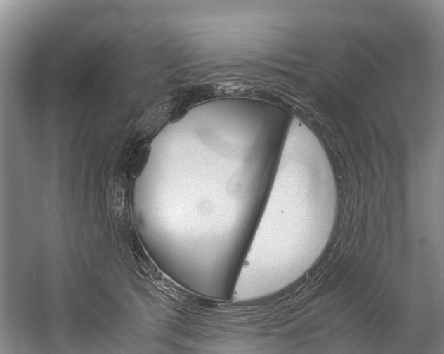 X0000060230417200510280943
