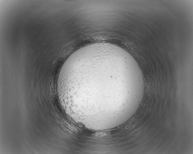 X0000060230418200510280943