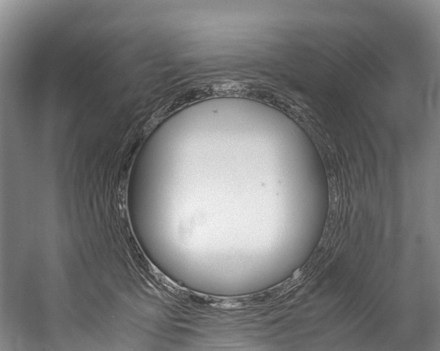 X0000060230419200510280943