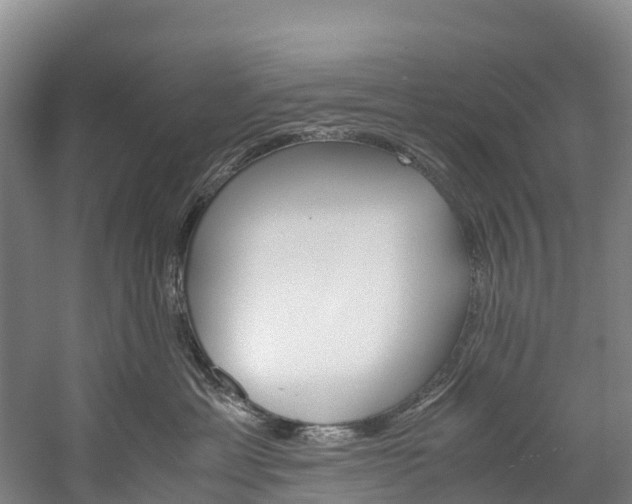 X0000060230429200510280943