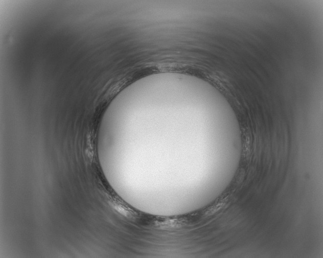X0000060230430200510280942