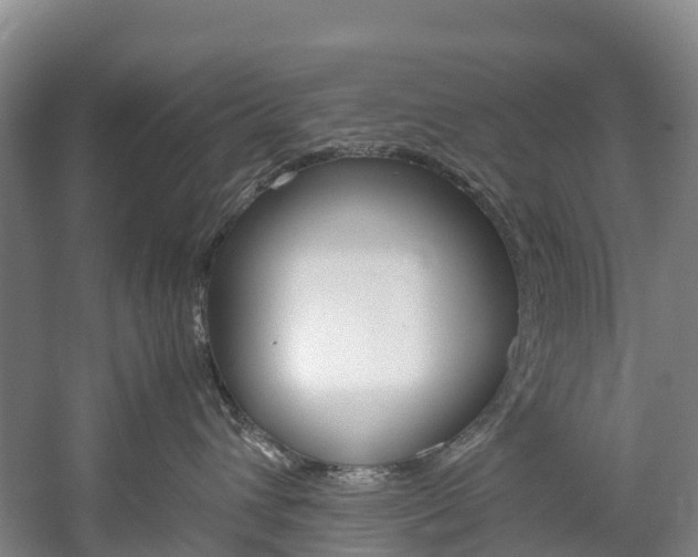 X0000060230432200510280942