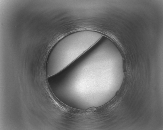 X0000060230433200510280942
