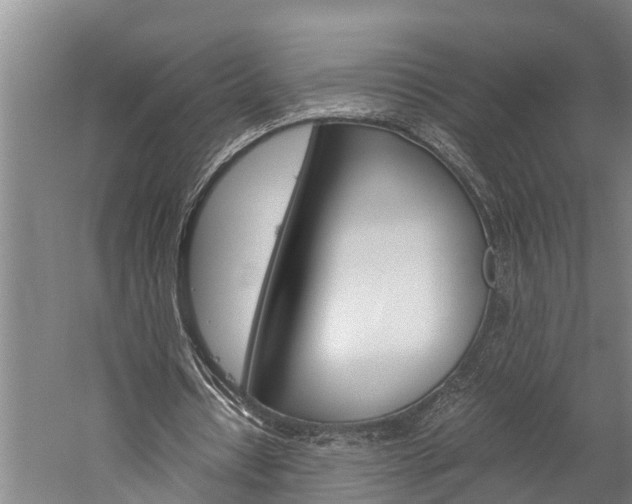 X0000060230434200510280942
