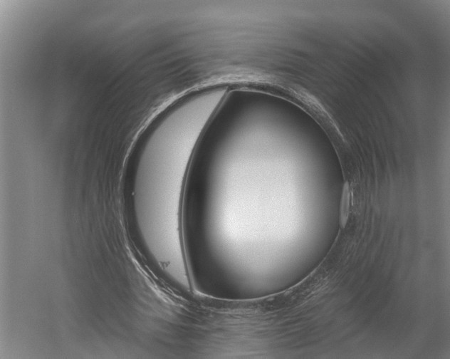 X0000060230436200510280942