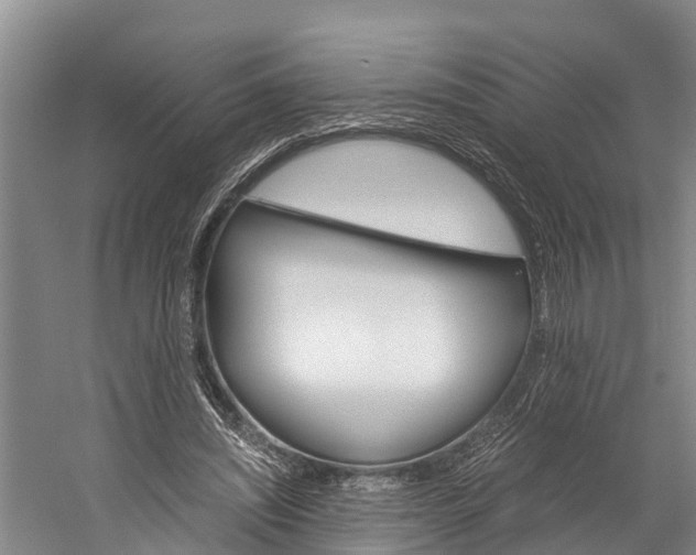 X0000060230444200510280942