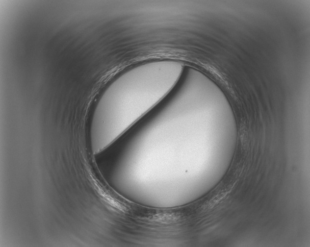 X0000060230445200510280942