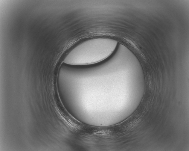X0000060230447200510280942
