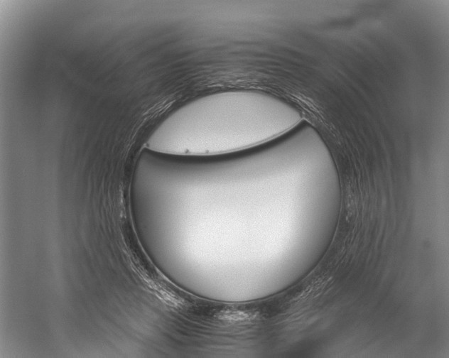 X0000060230453200510280942