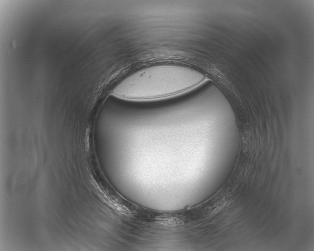 X0000060230454200510280942