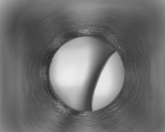X0000060230466200510280942