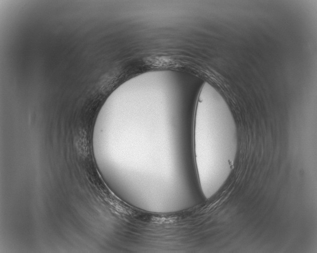 X0000060230469200510280942