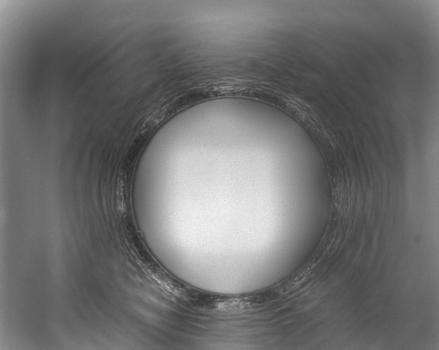 X0000060230470200510280942