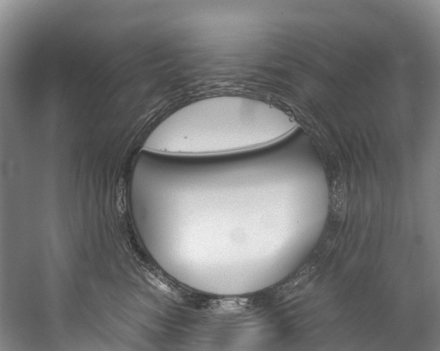 X0000060230474200510280942
