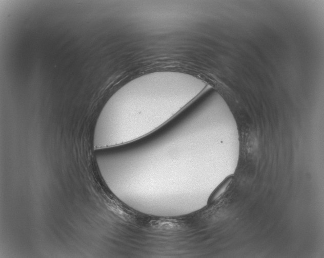 X0000060230475200510280942