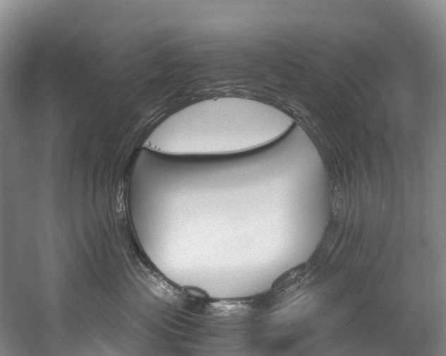 X0000060230477200510280942