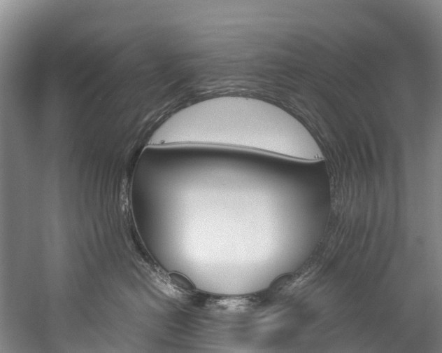 X0000060230478200510280942