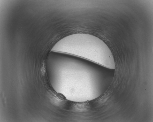 X0000060230479200510280942