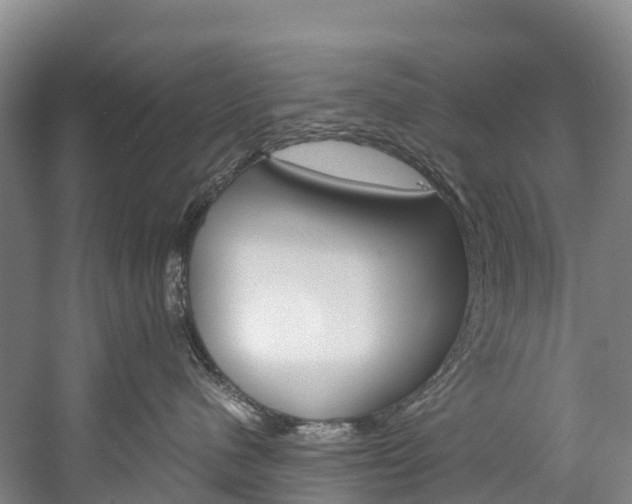 X0000060230480200510280942