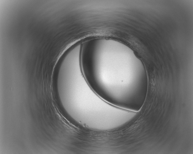 X0000060230484200510280942