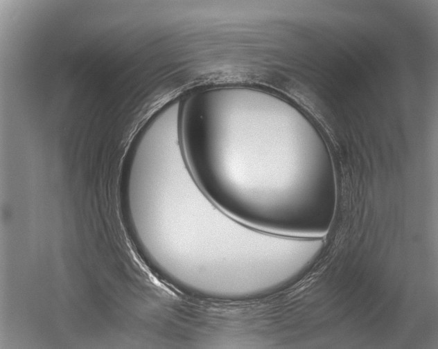 X0000060230485200510280942