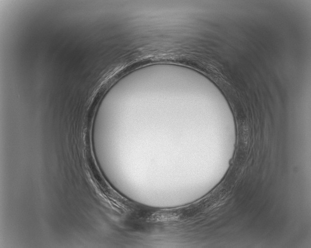 X0000060230491200510280941