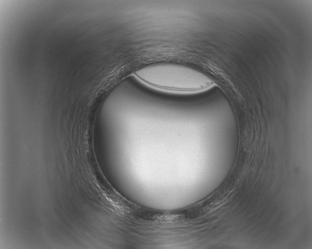 X0000060230497200510280941