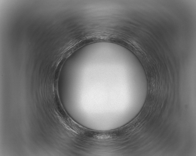 X0000060230500200510280941