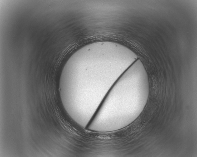 X0000060230502200510280941