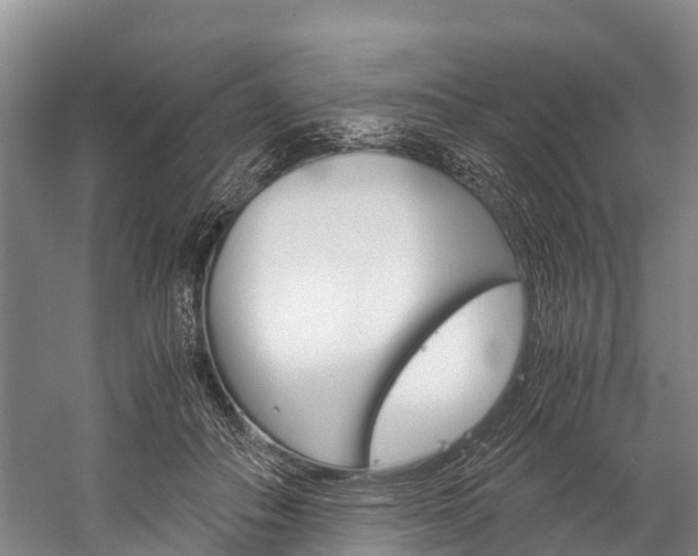 X0000060230506200510280941