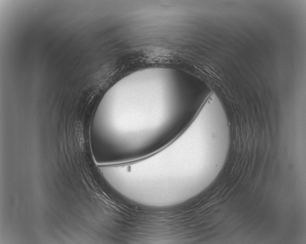X0000060230508200510280941