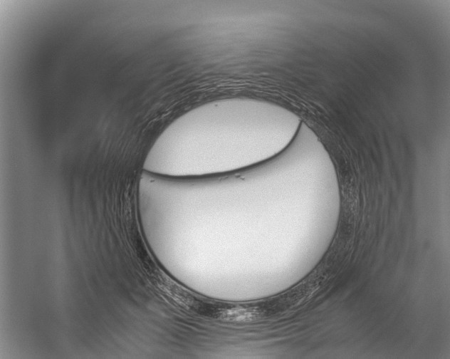 X0000060230511200510280941