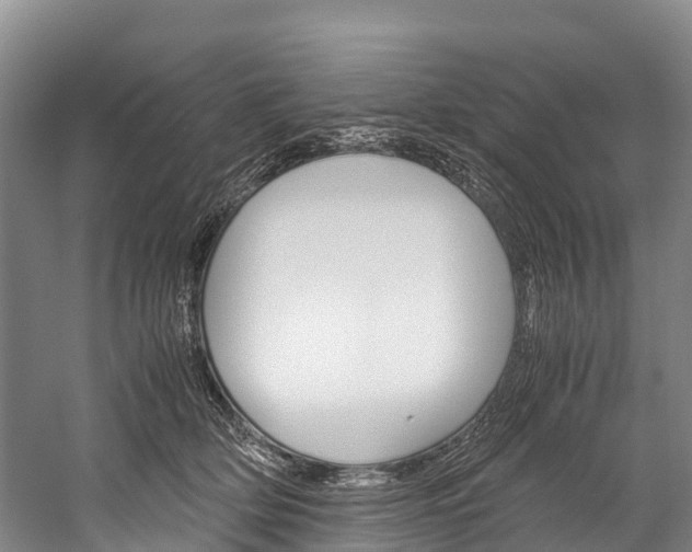 X0000060230514200510280941