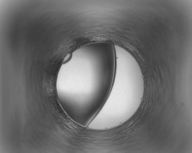 X0000060230517200510280941