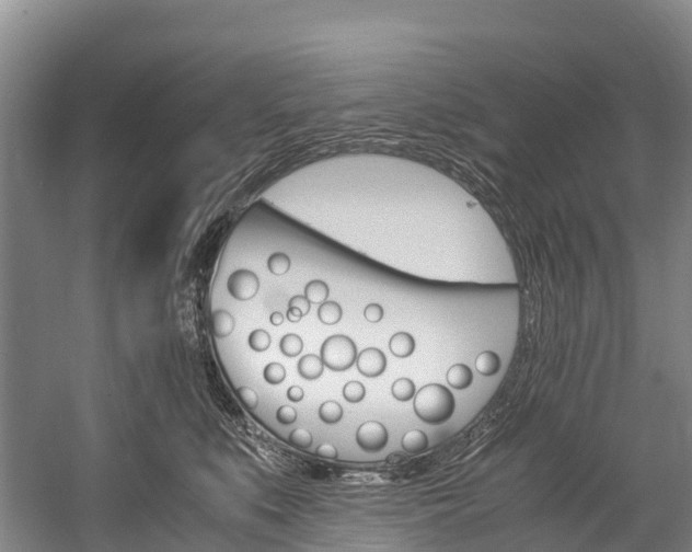 X0000060230519200510280941