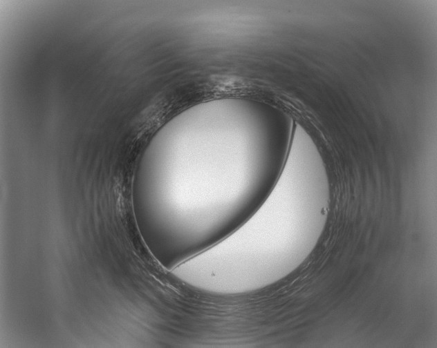 X0000060230520200510280941