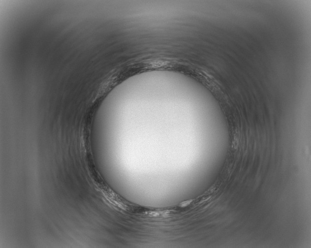 X0000060230524200510280941