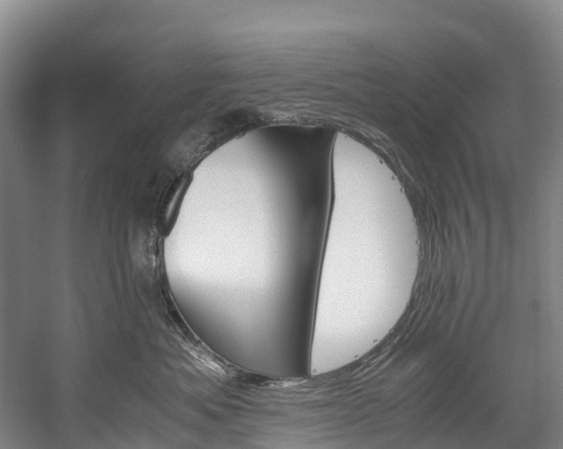 X0000060230525200510280941