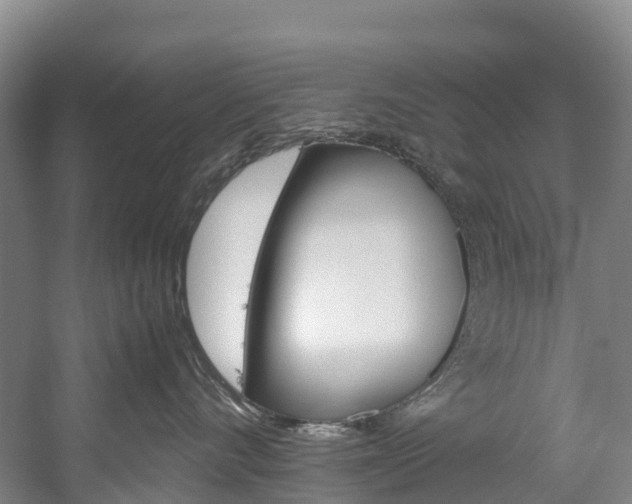 X0000060230528200510280941