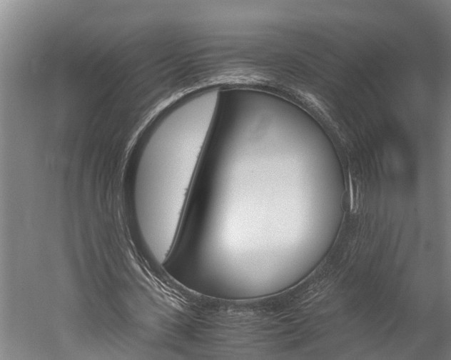 X0000060230531200510280940