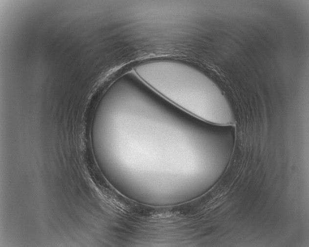 X0000060230540200510280940